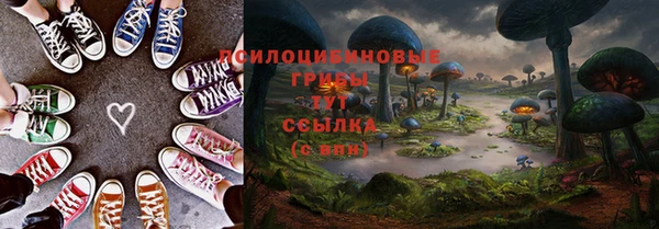 spice Корсаков