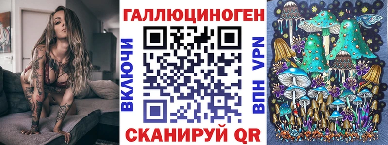 Псилоцибиновые грибы Psilocybe  даркнет сайт  Владивосток 